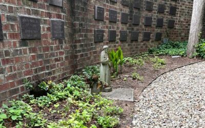 This Week at Holy Family October 23, 2026