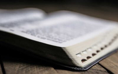 This Week At Holy Family, August 7, 2026